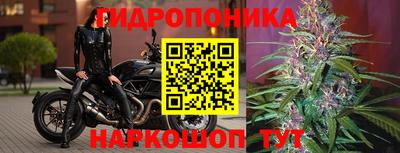 бошки Кунгур