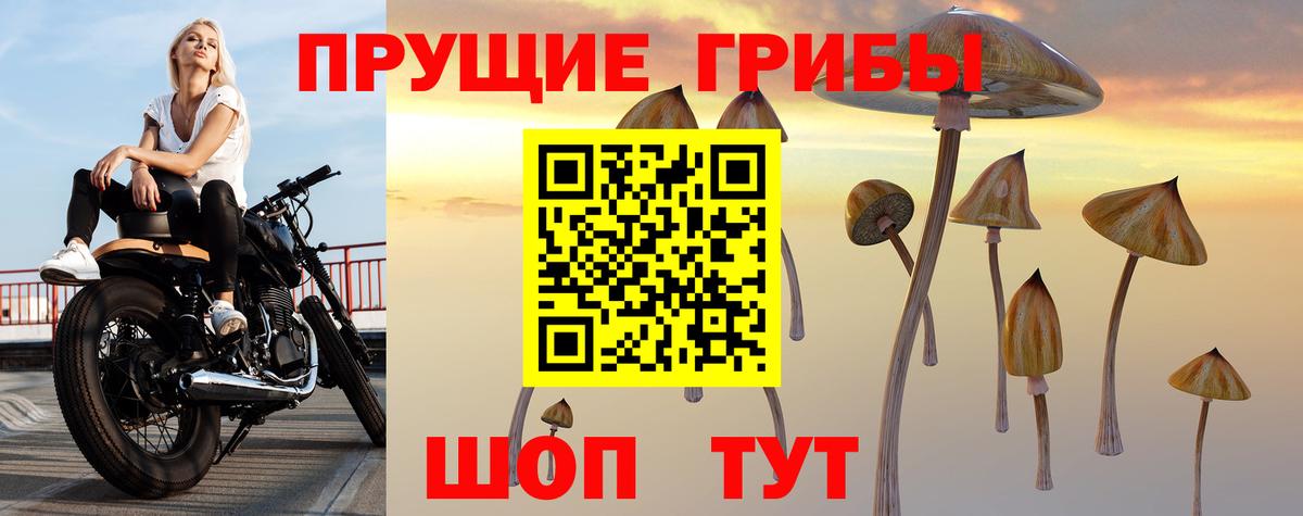 Галлюциногенные грибы прущие грибы  Вход с VPN  Мичуринск 