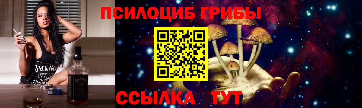 Псилоцибиновые грибы Psilocybe Мичуринск
